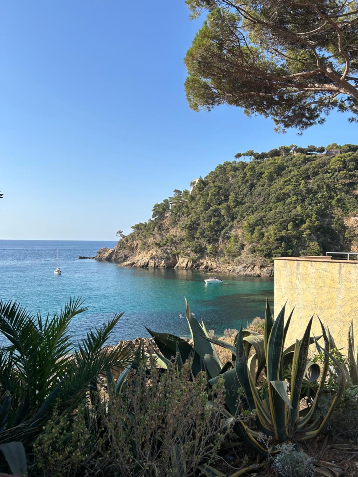 La Calypso Daire Cavalaire-sur-Mer Dış mekan fotoğraf